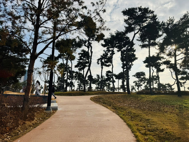 Evergreen Garden: Pyeongtaek’s Secret Sanctuary of Stillness🌿
