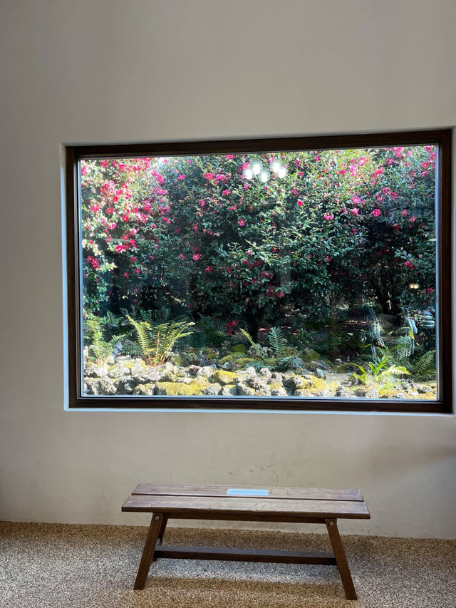 ๐๐ป๐๐ป์ ์ฃผ๋ ๋๋ฐฑ๊ฝ ๋๋ฐฑํฌ๋ ์คํธ๐ ๐๐ป๐๐ป์ ์ฃผ๋ ๋๋ฐฑ๊ฝ ๋๋ฐฑํฌ๋ ์คํธ๐