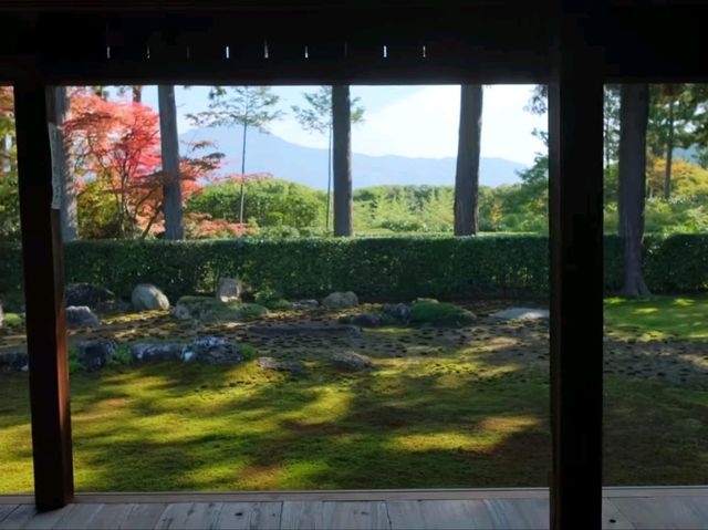 京都北山賞楓必去靜謐秘境🍁圓通寺充滿禪意的絶美畫捲 京都北山賞楓必去靜謐秘境🍁圓通寺充滿禪意的絶美畫捲