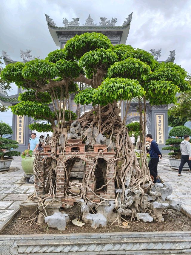 Temple Views Only🏯 Linh Ung Pagoda Temple Views Only🏯 Linh Ung Pagoda
