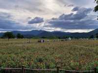 사계절 언제 가도 좋은 천년고도 경주