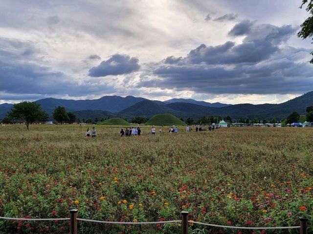 사계절 언제 가도 좋은 천년고도 경주 사계절 언제 가도 좋은 천년고도 경주