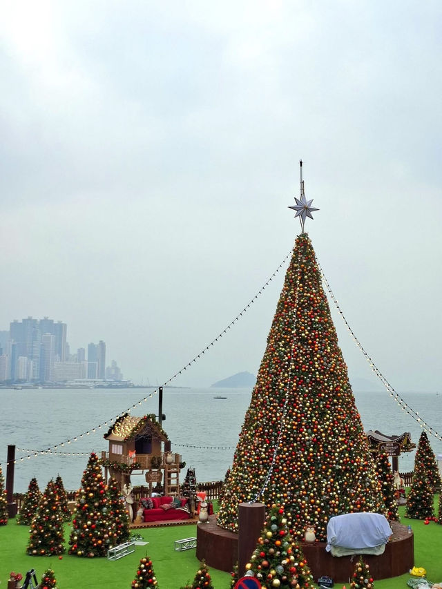 A Crystalline Dream in the Urban Heart: WestK Christmas Forest 2025 A Crystalline Dream in the Urban Heart: WestK Christmas Forest 2025