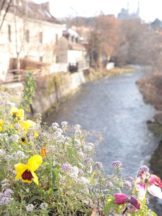 烏祖皮斯共和國，立陶宛的一個隱密國家