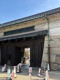 冬日暖陽照亮金鯱:名古屋城聖誕一日遊的奇蹟與浪漫