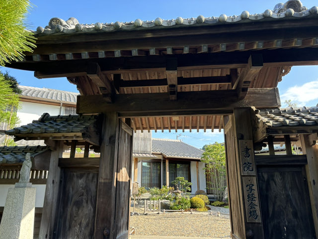 🌿 長谷寺:鎌倉的心靈避風港 🌿 長谷寺:鎌倉的心靈避風港
