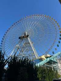 Harbor Charms: A Day in Yokohama