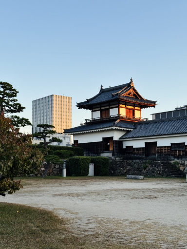 熊本 — 逞しさの上に咲く、温もりの街。 | Trip.com 熊本市