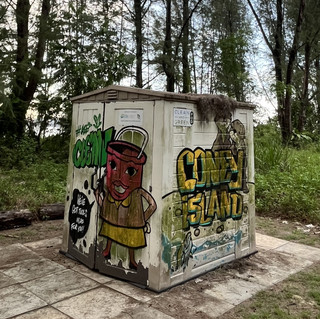 Five Worlds on One Island: The Habitats of Coney Island
