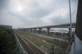 春に菜の花畑へ、見渡す限りの黄金色。足元から遠くの山裾まで広がり、陽光の下でキラキラと輝く様子は、まるで太陽の光を地面いっぱいに敷き詰めたかのよう。蜜。