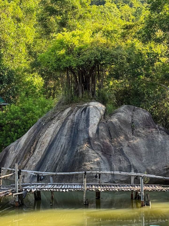 蓮池、ウサギ、そして静寂な散歩（ニャチャンのMười Amazon） | Trip