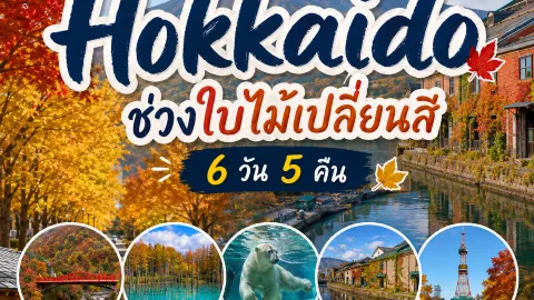 Hokkaido 6 Days 5 Nights Itinerary Review — traveler post in Biei