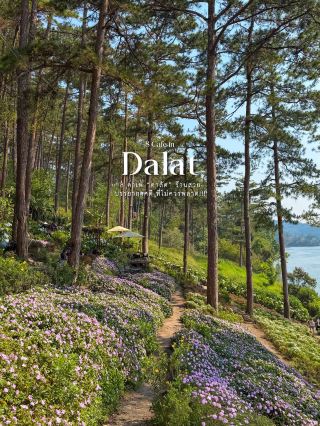 8 คาเฟ่ “ดาลัด” ร้านสวย บรรยากาศดี ที่ไม่ควรพลาด!!!🍃🌼🇻🇳