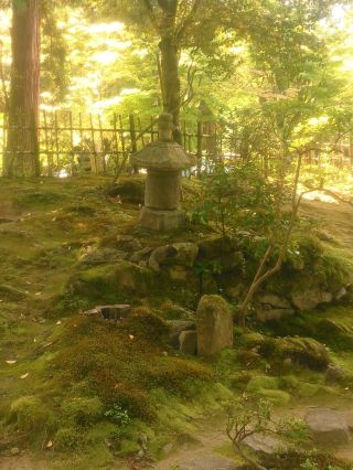 A historic temple of the Koto Sanzan, renowned for its beautiful green maples.