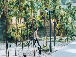 #arrivalguide  

singapore souvenir shopping made simple — right at the airport! 🛫🛍️

If you’re passing through Singapore, one of the easiest and most fun ways to bring home a piece of the city is shopping at Singapore Changi Airport (Jewel Changi, 78 Airport Blvd, Singapore 819666, open 24 hours). Jewel Changi is not your average airport stop: imagine a lush indoor waterfall, gardens, and a next-level shopping scene, all just steps from your departure gate!

Top Singapore Souvenirs to Snag at Changi:
· Kaya Jam: This coconut-pandan spread is a breakfast gamechanger. Pick up authentic brands like Ya Kun at their airport outlet or duty-free shops.
· Orchid Jewelry & Gifts: Singapore’s national flower, the orchid, turns into beautiful jewelry and accessories — perfect luxe gifts!
· Merlion Miniatures: It’s the city’s mascot, and your classic quirky memento.
· Bengawan Solo Pineapple Tarts: Buttery, bite-sized, and beloved — score boxes at Changi’s local snack stores for tasty sharing.
· TWG Tea: World-famous Singaporean teas, in elegant gift boxes, that fit in any carry-on.

Insider tip: Some shops in Changi are open 24/7. You can skip the city crowds and do all your shopping after security!

Getting Around: The airport’s Skytrain links all four terminals for free — zoom between shopping zones in minutes.

Bonus: You can use your leftover Singapore dollars at airport shops, or swipe major credit cards.

No visa, no problem: If you’re transferring through Changi on many passports, you don’t even need to clear immigration to splurge at the shops.

Don’t leave Singapore empty-handed — get your last-minute souvenirs at the most efficient spot possible! ✈️

#souvenirguide  #SingaporeFinds  #ChangiChic  #GiftGoals 