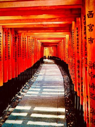 Ouchi-juku’s Spring Water & Palisade Flower Seasonal Walkslowtraveling