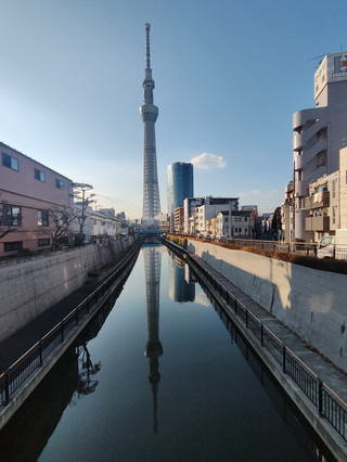 東京晴空塔|高空俯瞰東京美景 。