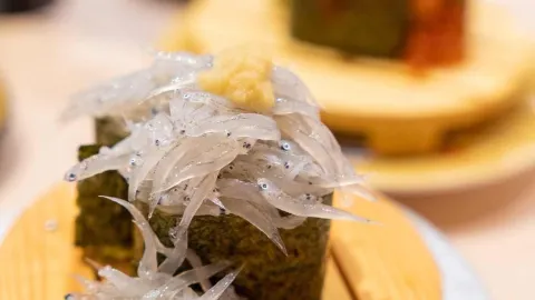จังหวัดชิซูโอกะ เมืองนูมาซุ • ถ้ามานูมาซุแล้วก็ต้องอยากทานซูชิอร่อยๆ! "Numazu Kaiten Sushi Sushinosuke" ร้านดังที่คิวยาวเป็นหางว่าว! — traveler post in นุมะซุ