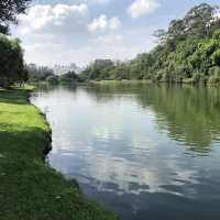 Sensational São Paulo 