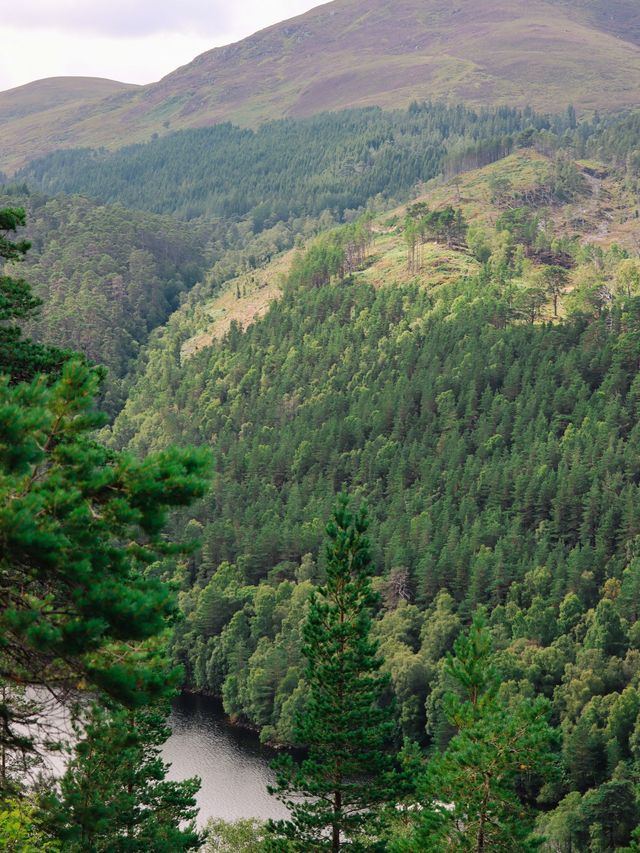 Stunning Glen Affric, Scotland🏴󠁧󠁢󠁳󠁣󠁴󠁿🌲