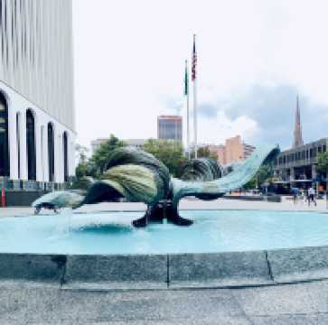 單人雙車美東游記（二）