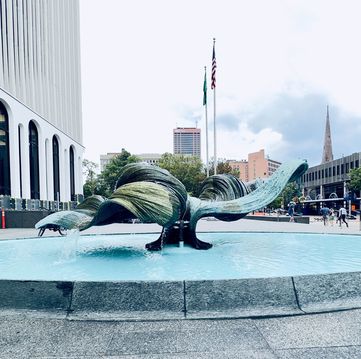 單人雙車美東游記（二）