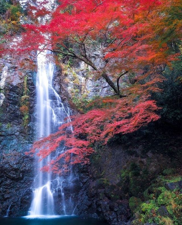 Short easy hike with waterfall at the end 