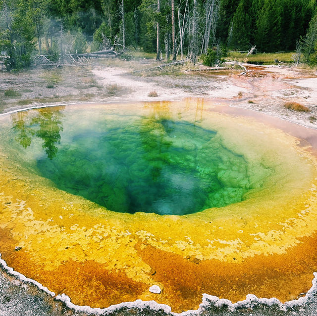 Top tips for Yellowstone National Park 🇺🇸