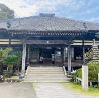 【静岡県🇯🇵下田】歴史に触れる📚旅