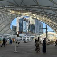 Window Shopping at Denver’s Downtown