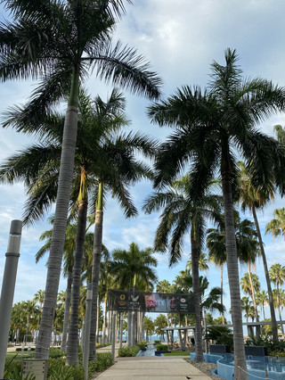 [Mexico] Recommended all-inclusive hotels in Cancun 🍸