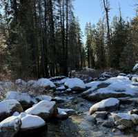 Sequoia national park just before thanksgiving 