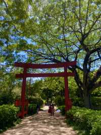【ドミニカ】日本庭園がある国立植物園🌳⛩️