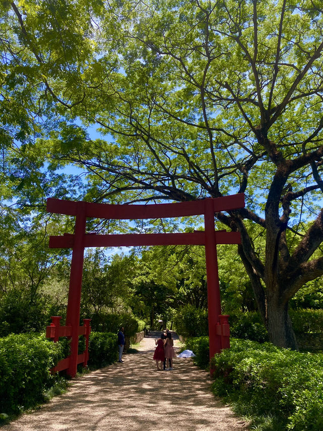 【ドミニカ】日本庭園がある国立植物園🌳⛩️