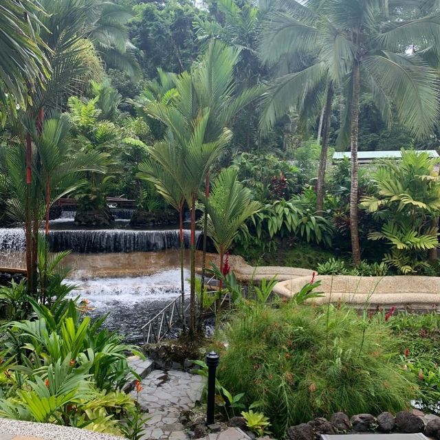 Arenal volcano hot springs 🌋🌋