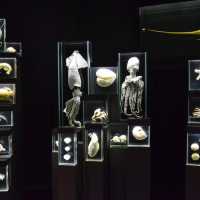 Ozeaneum…อควอเรียมสุดปังในเยอรมันเหนือ
