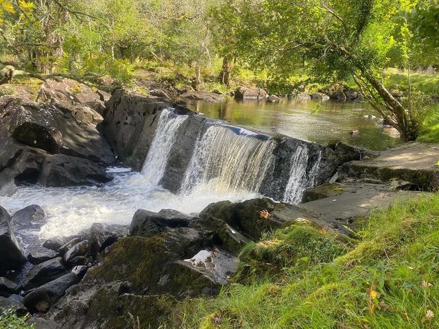 Very nice Killarney National Park 🗺️