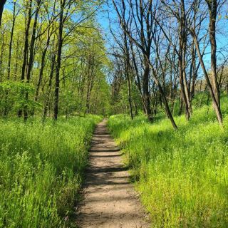 Amazing Walking Trails