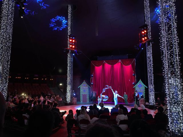 Winter Wonderland Circus: Whirlwind of Frosty