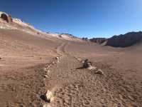 Stargazing in Atacama's Desert Sky