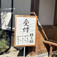 來東京不能錯過得的貓貓神社🐱
