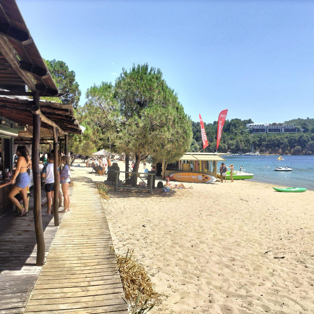 Koukounaries Beach 🗺️