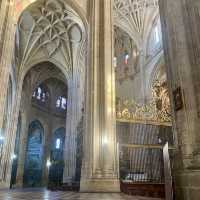 Segovia Cathedral ⛪️