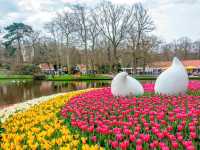 Keukenhof Netherlands 🇳🇱 