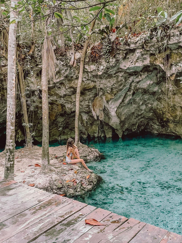 툴룸 🏝️