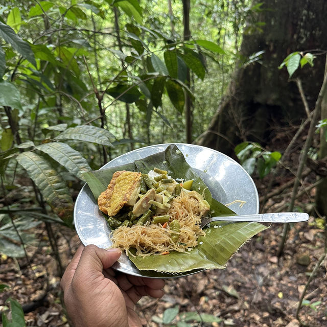 A perfect day in North Sumatra Bukit Lawang Jungle with Orangotans