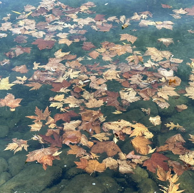 瑞士楚格湖的最北端公園