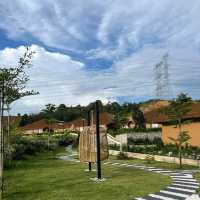 Monkey Canopy Resort