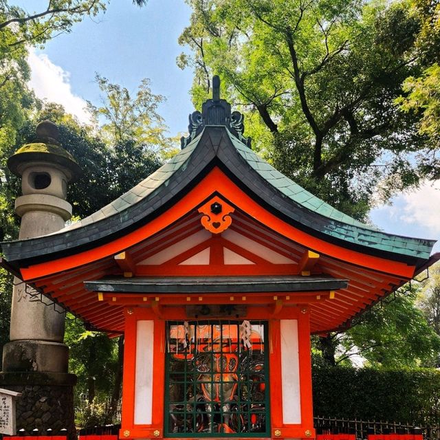 Timeless Beauty: Exploring Japan’s Soulful Wonders