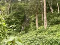 Tea Plantations of Munnar 